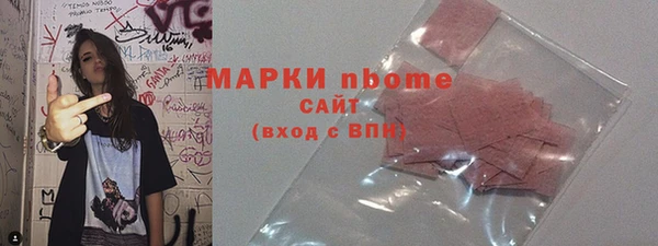 прущие грибы Инсар