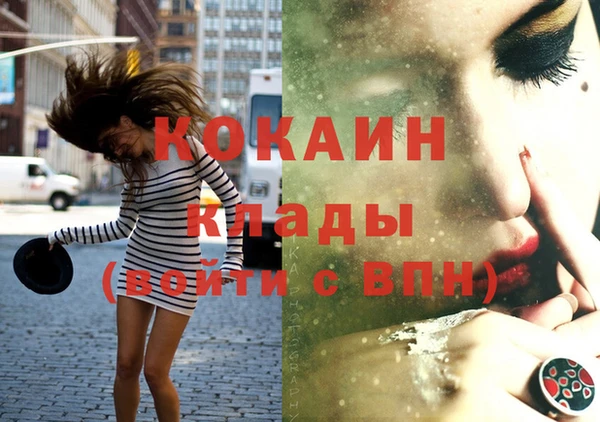 прущие грибы Инсар