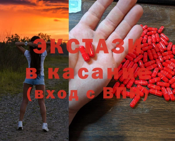 прущие грибы Инсар