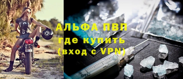 прущие грибы Инсар