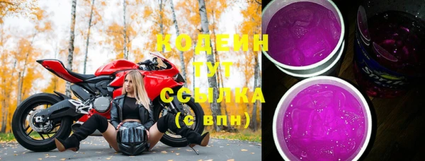 прущие грибы Инсар