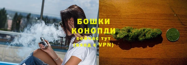 прущие грибы Инсар